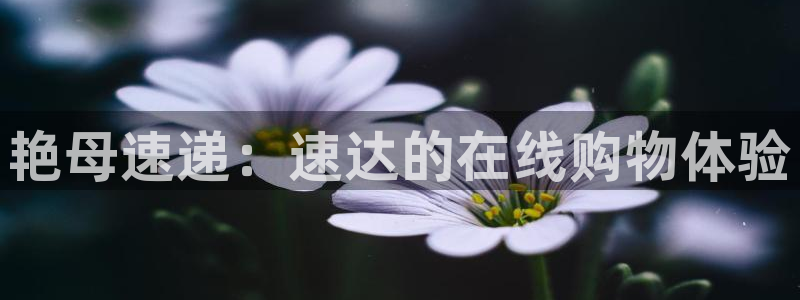 的樱花动漫：艳母速递：速达的在线购物体验